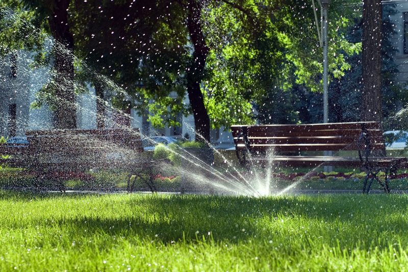 8 Best Smart Irrigation Systems for Gardens in 2026