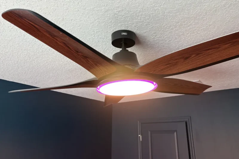 8 Best Smart Fans With App Control in 2026